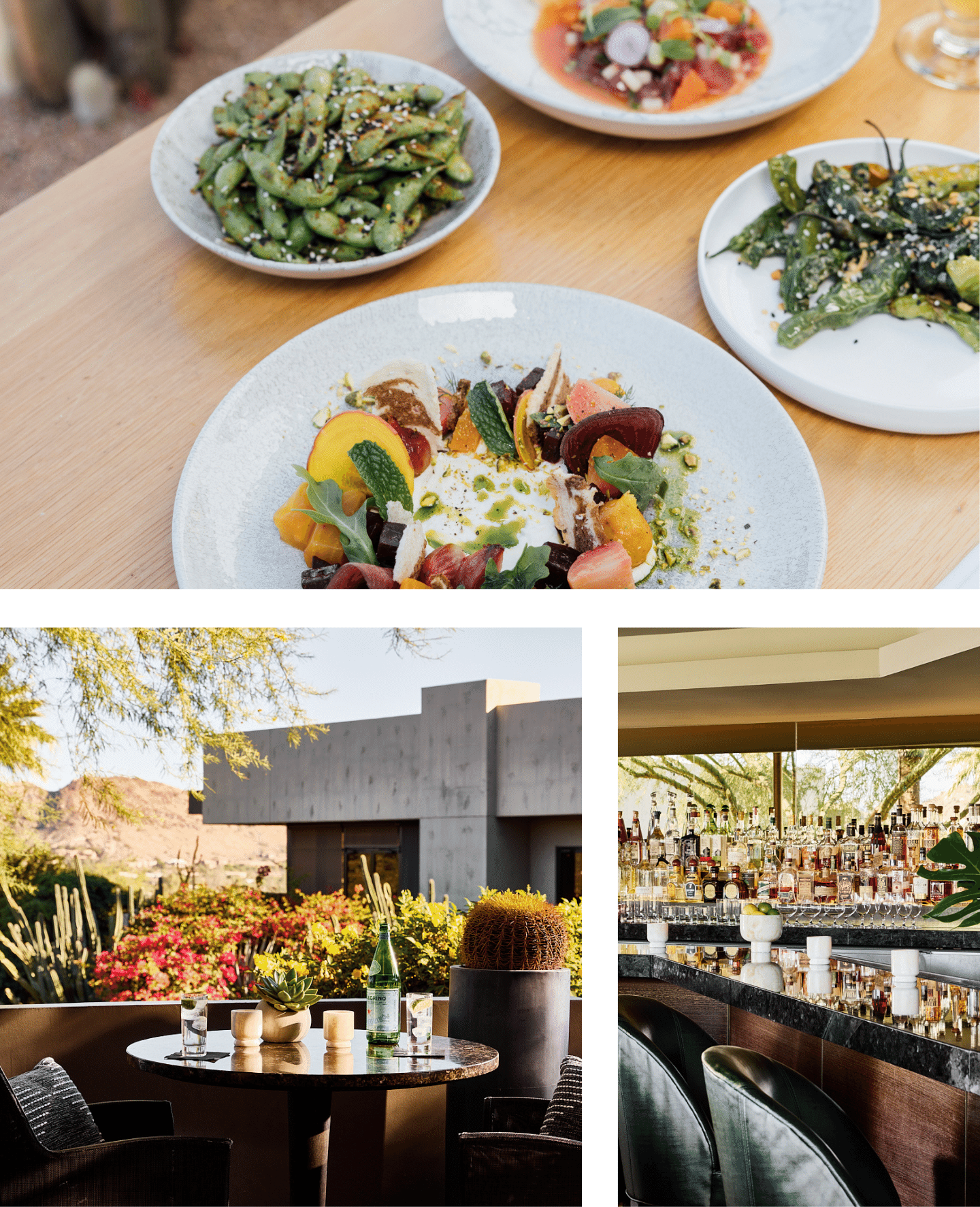 jade bar Cocktail Bar in Scottsdale, AZ Sanctuary Camelback Mountain